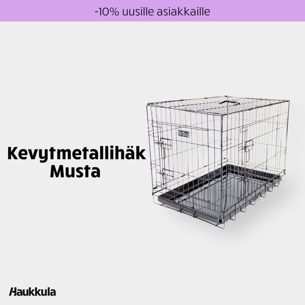 Kaikki koiralle yhdestä paikasta