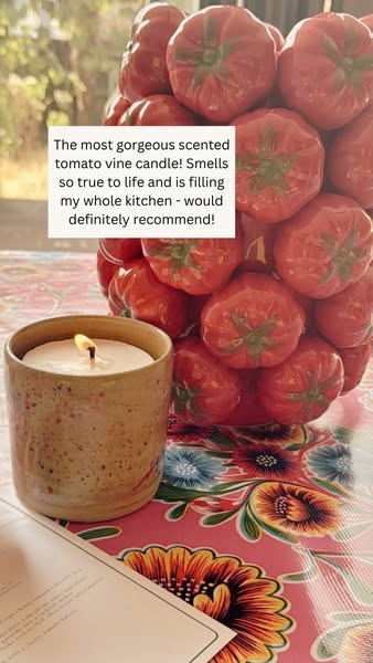 Tomato Vine. Refillable Pott.