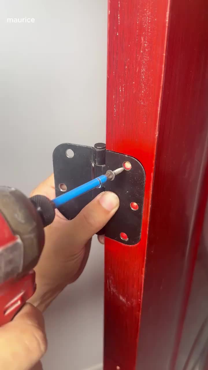Hinge Repair Screw & Expansion Anchor
