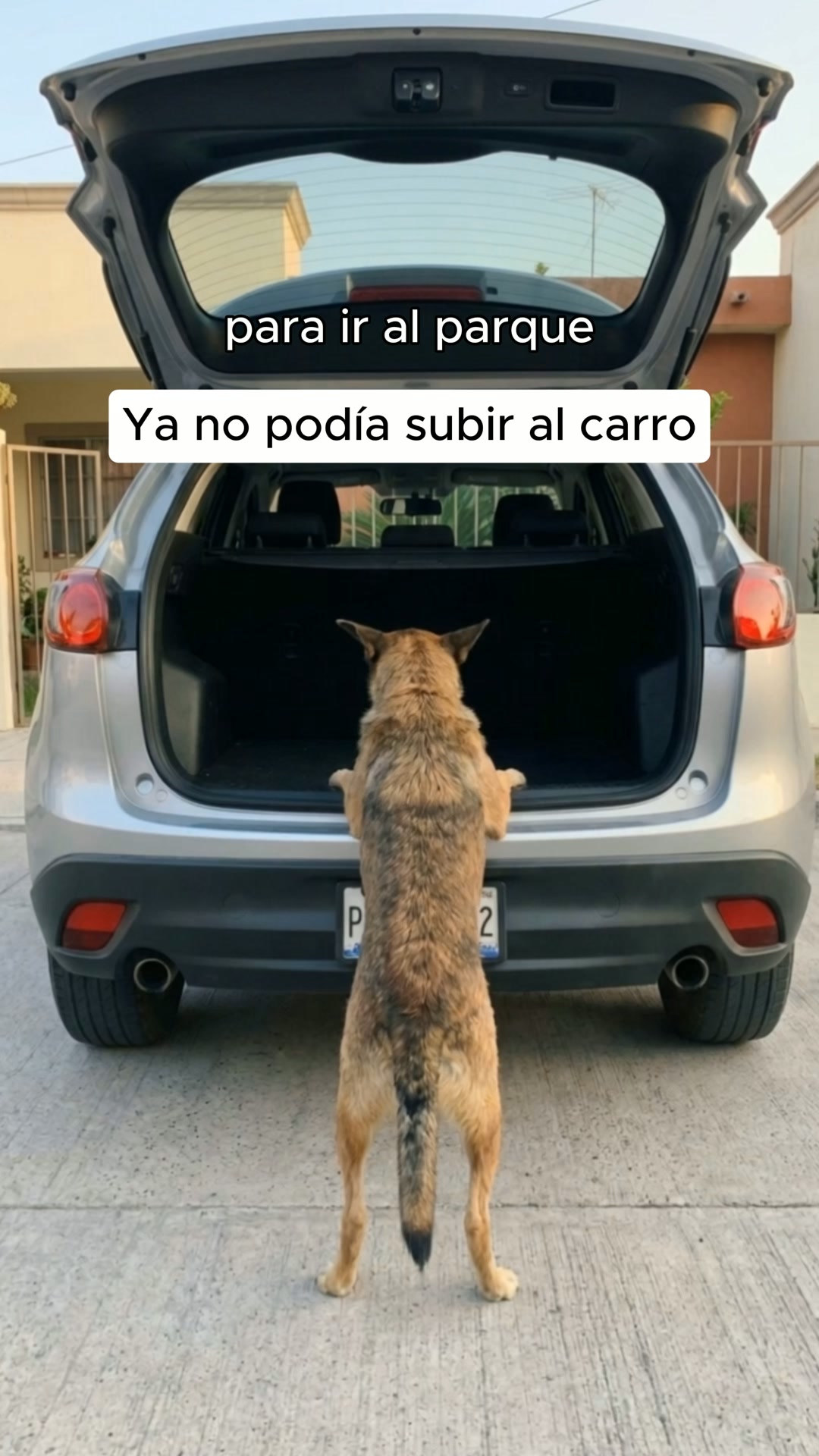 ¿Ya no puede subir al carro solo?