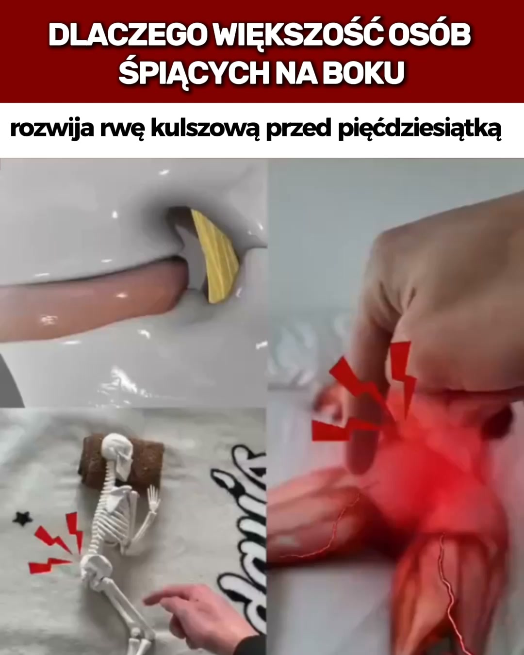 4.8/5 Ponad 3000 Klientów w Polsce