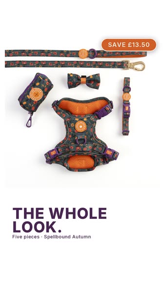 The five-piece set. Save £13.50.
