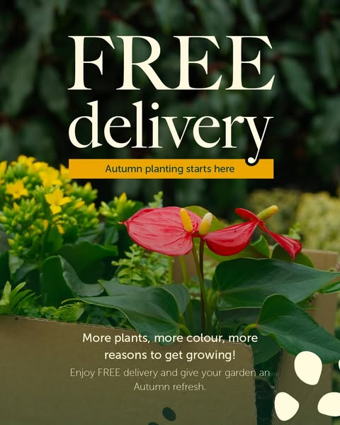 Don’t Miss Out on Free Delivery