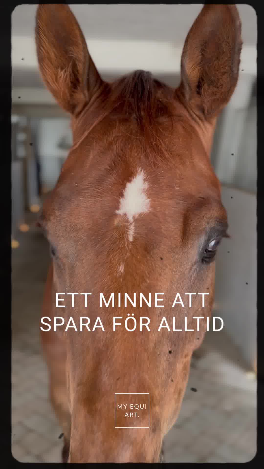 En hyllning till din #1