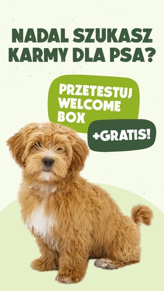 Nowość w psiej misce