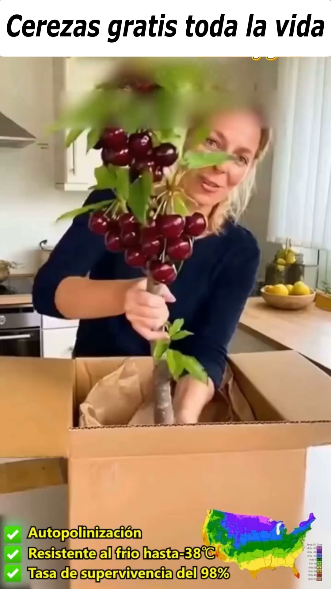 Cerezas gratis toda la vida