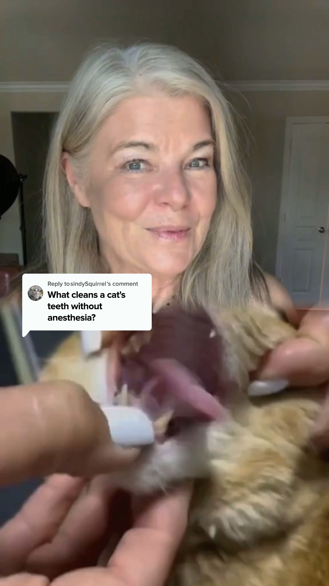 12,000+ cat moms ditched anesthesia for this