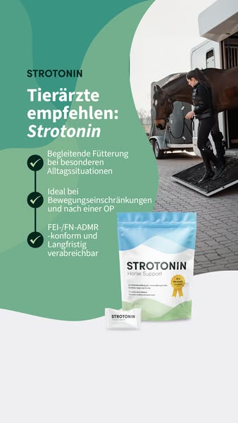 Endlich mehr Entspannung für dein Pferd