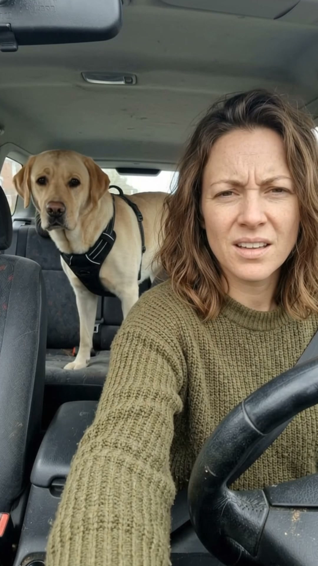 Same Car. More Dog Space.