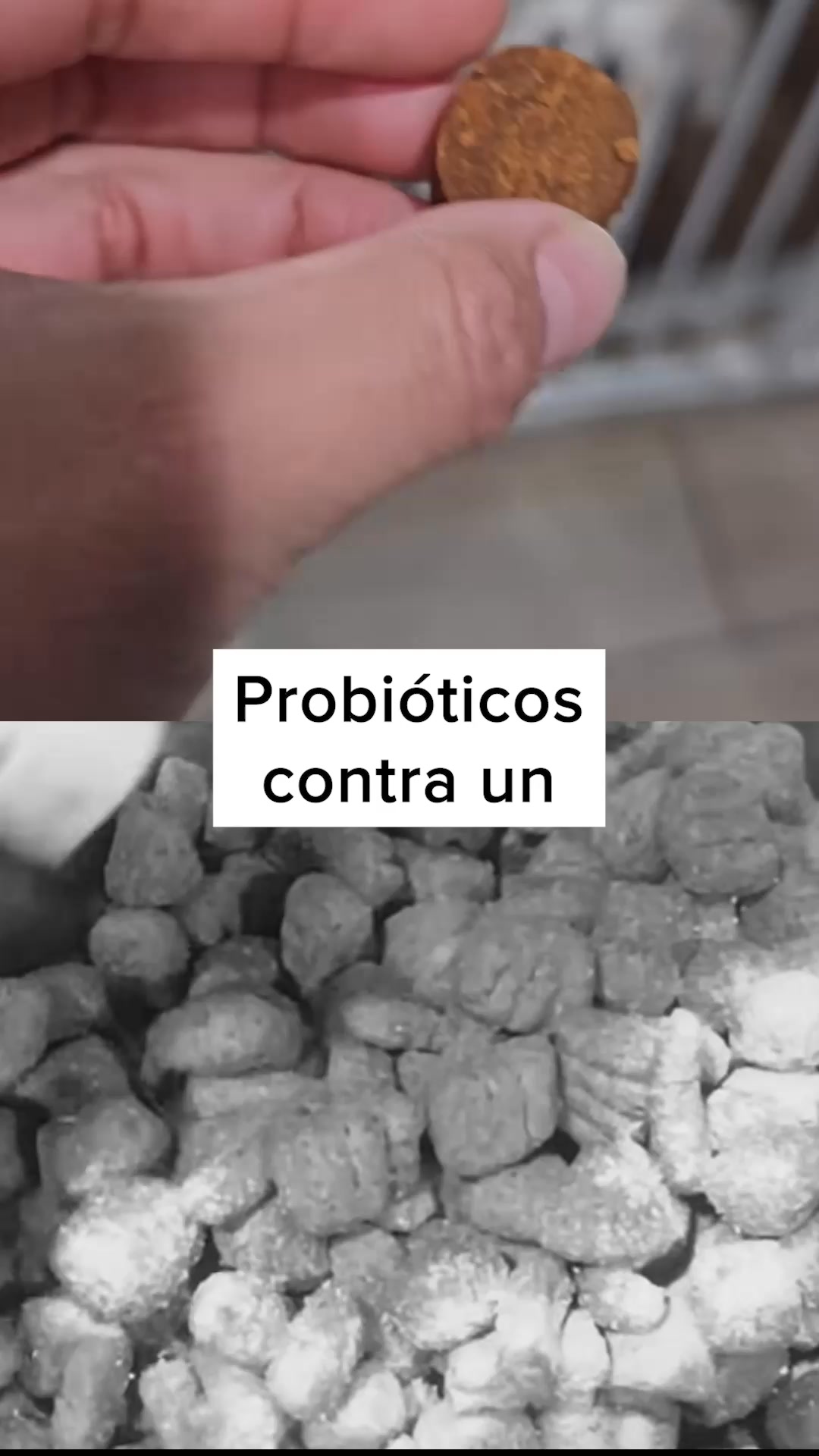 3 REGALOS GRATIS En Tu Primera Orden