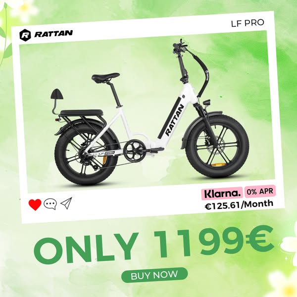 2-Seater Power: Fat Tire Folding Ebike