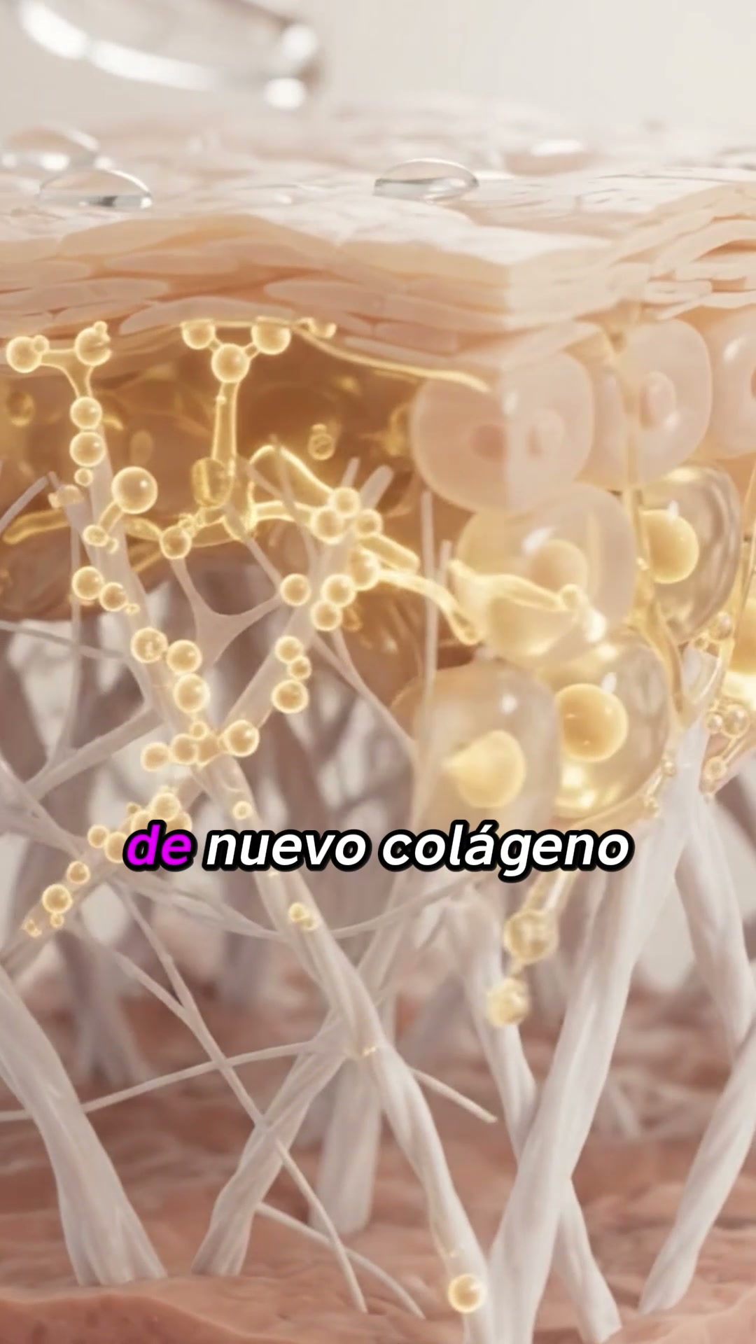 Descubre la micro-infusión Renovae