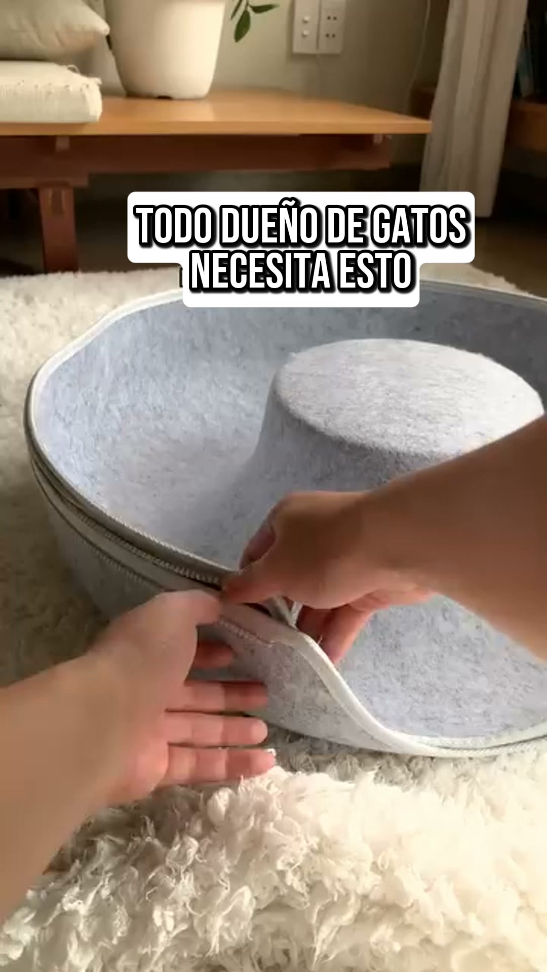 Salva tu sofá de las uñas de tu gato