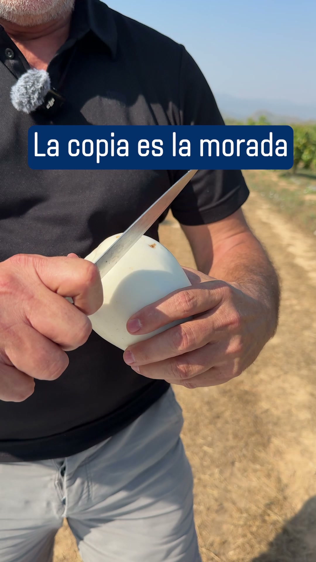 Berenjena Blanca Orgánica