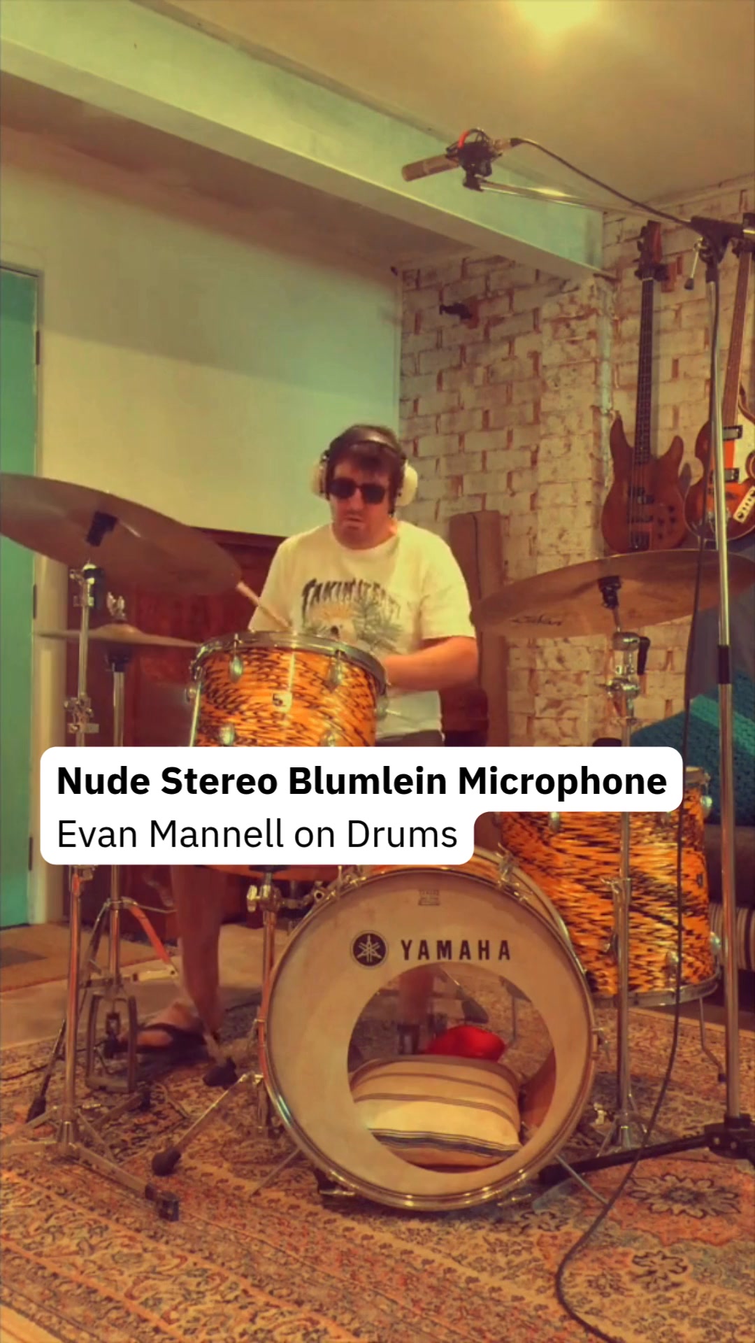 Best Price Nude Stereo Blumlein Ribbon Microphone - Worldwide Shipping with Insurance