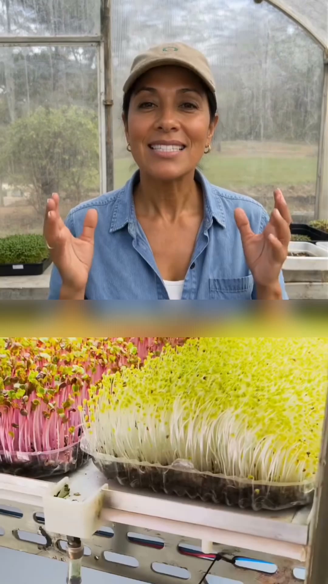 Grow Fresh Microgreens at Home in 7 Days