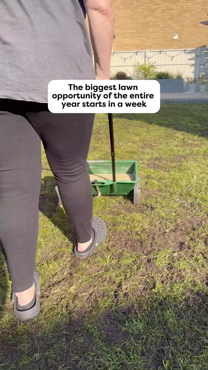 Anúncio de The Lawn Pack