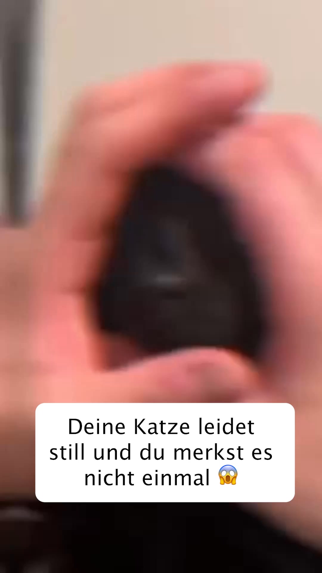 1+1 Neukunden Angebot