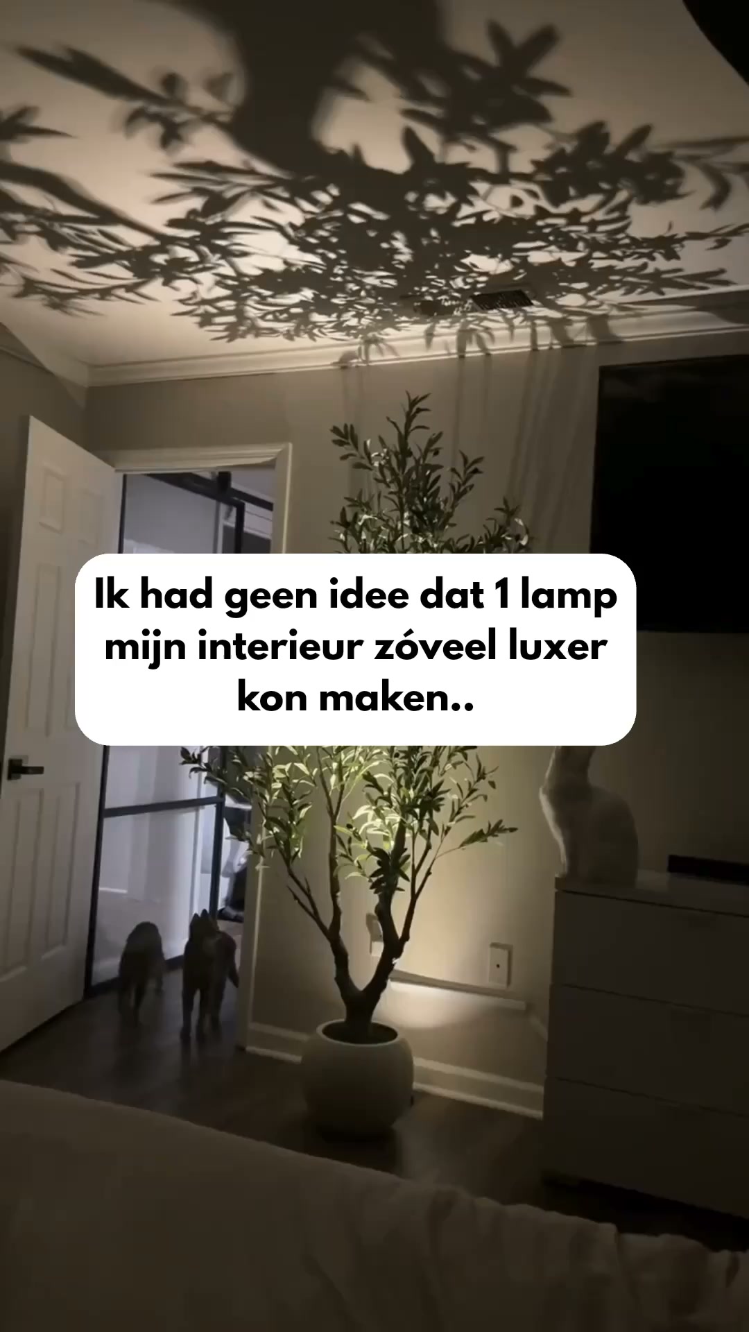Geef je planten een upgrade