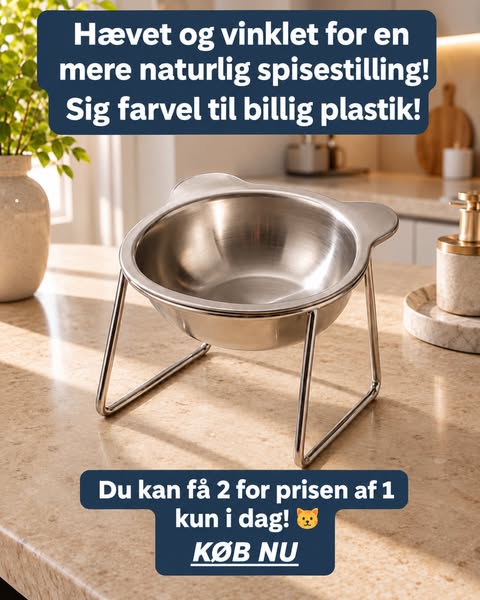 Smid plastikken ud. Opgrader spisetiden.