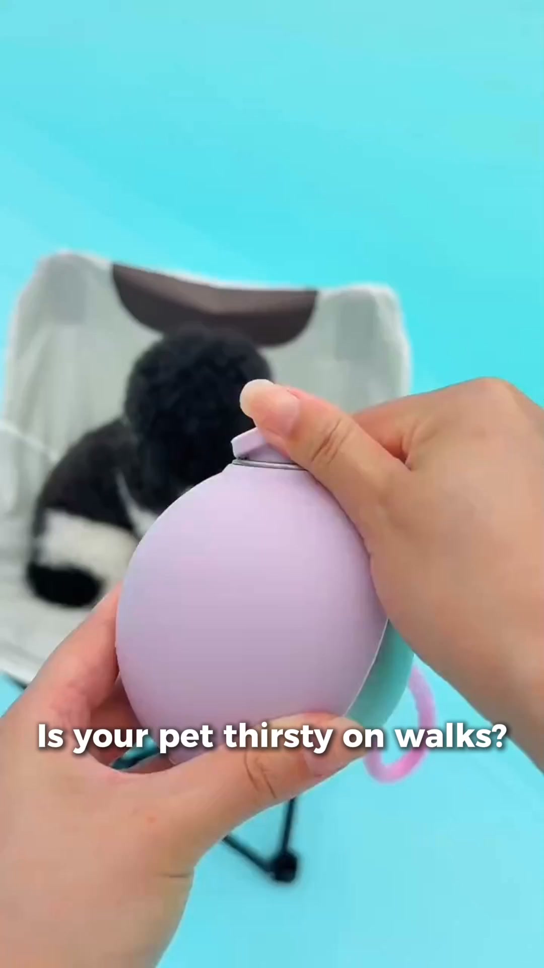 50% OFF en EcoPet™