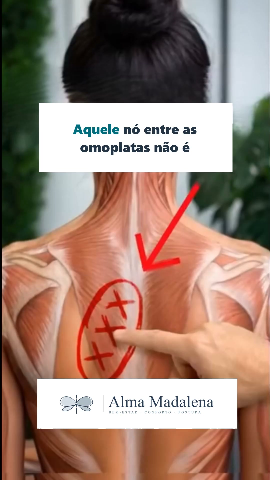 O conforto começa na tua almofada