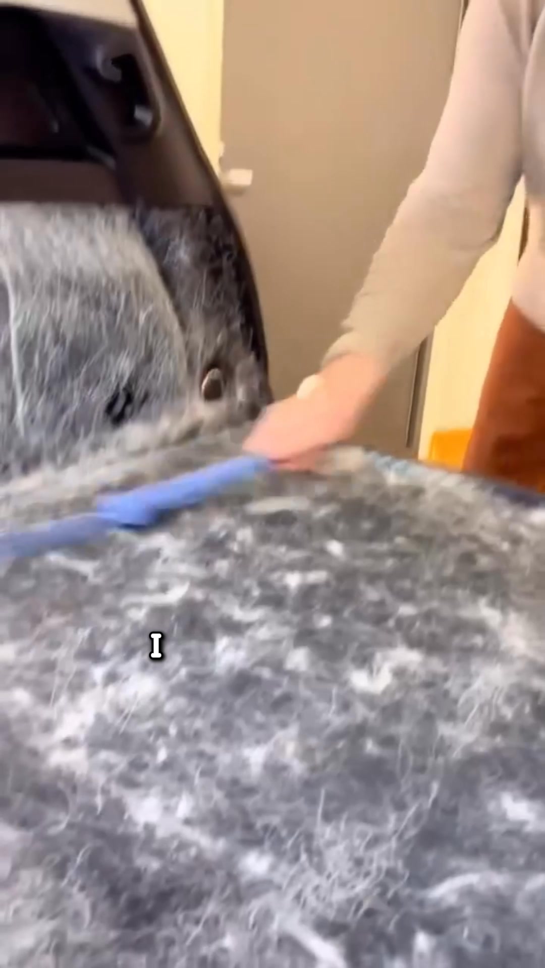 95% Hair Removal In One Swipe