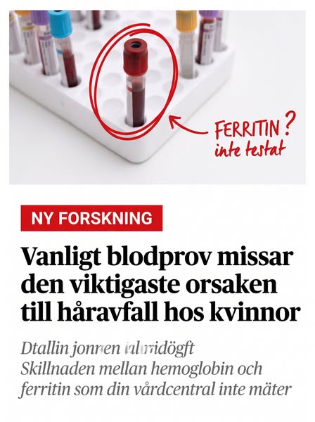 Läs artikeln