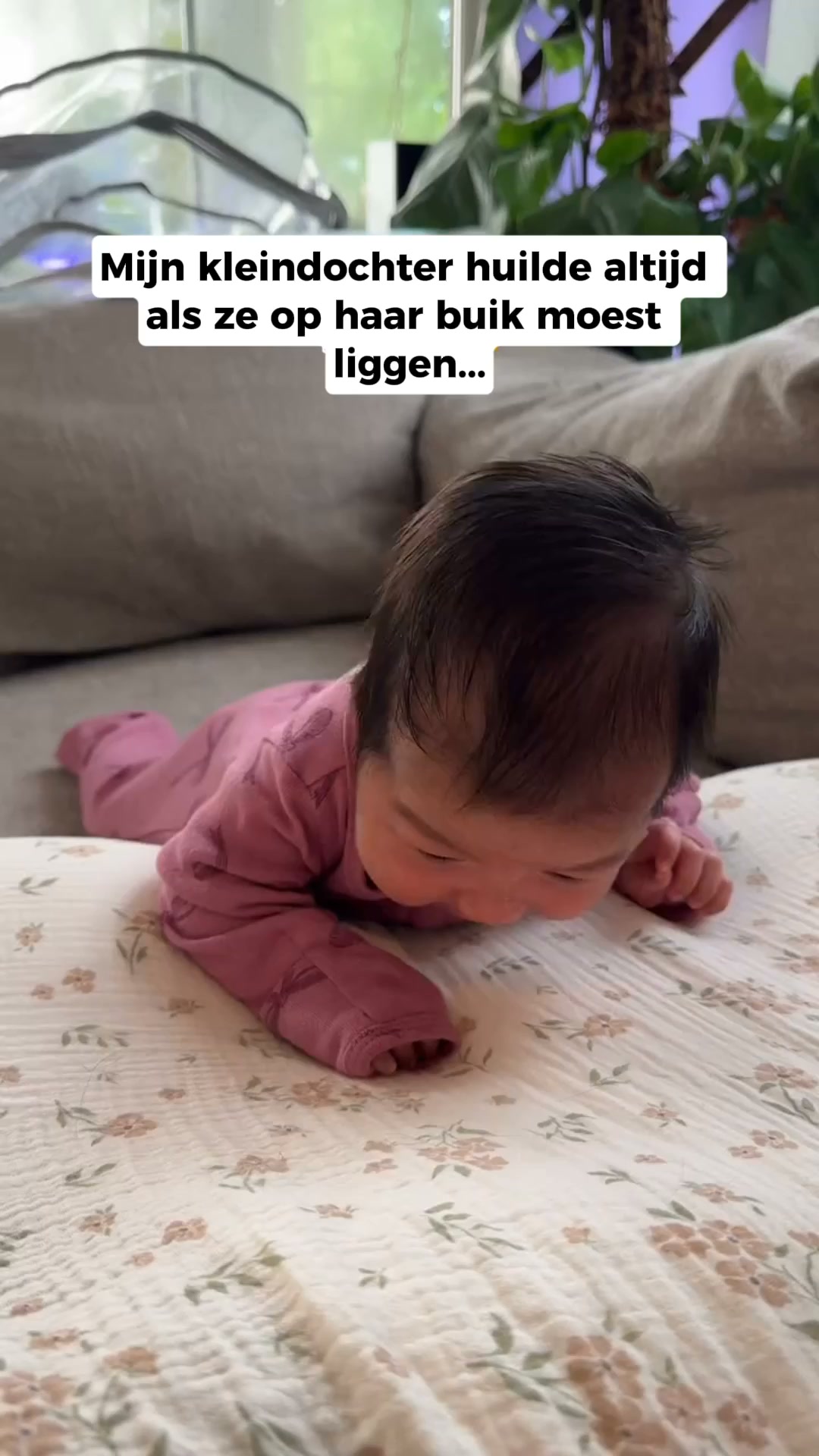 50% Korting + Verzekerde Verzending