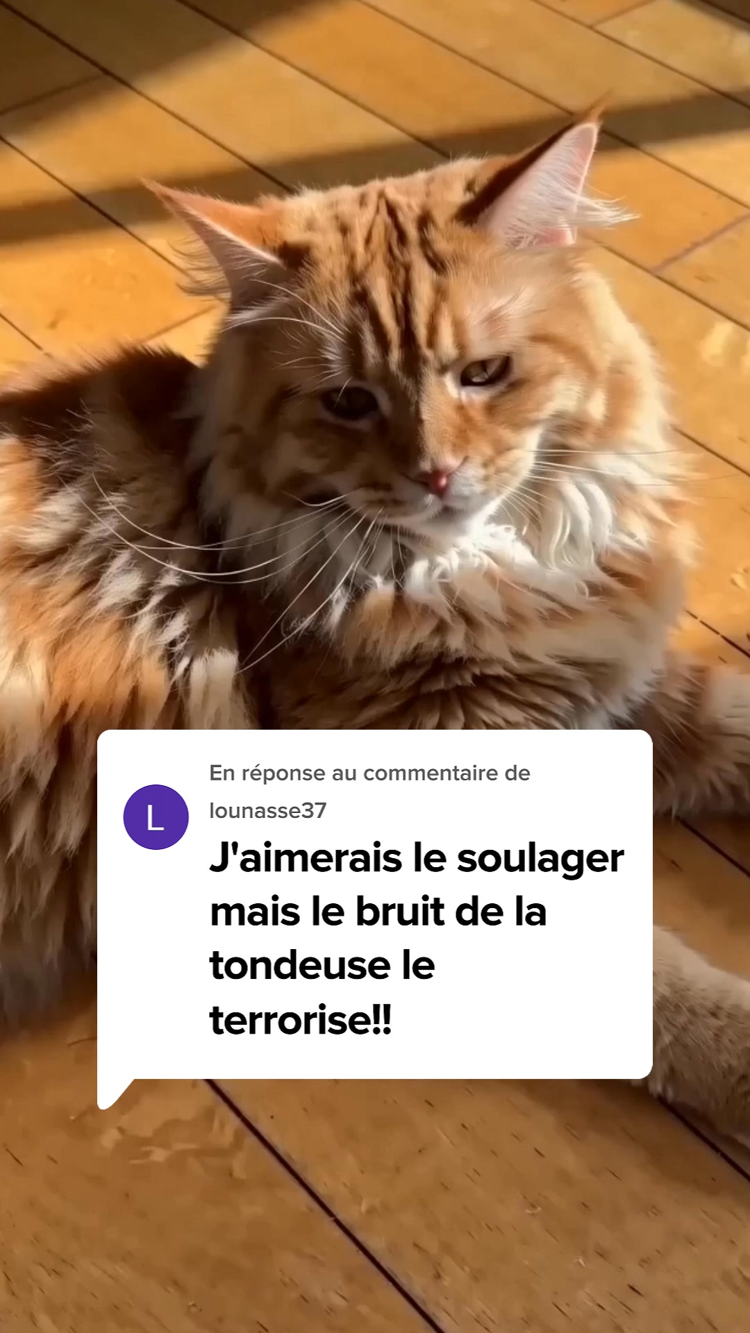 Code TONDEUSE : -30% immédiat