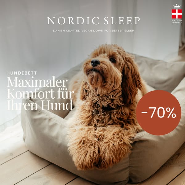 Letzte Chance: 70% sparen