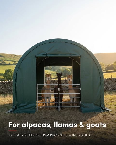 Tall Field Shelter for Alpacas
