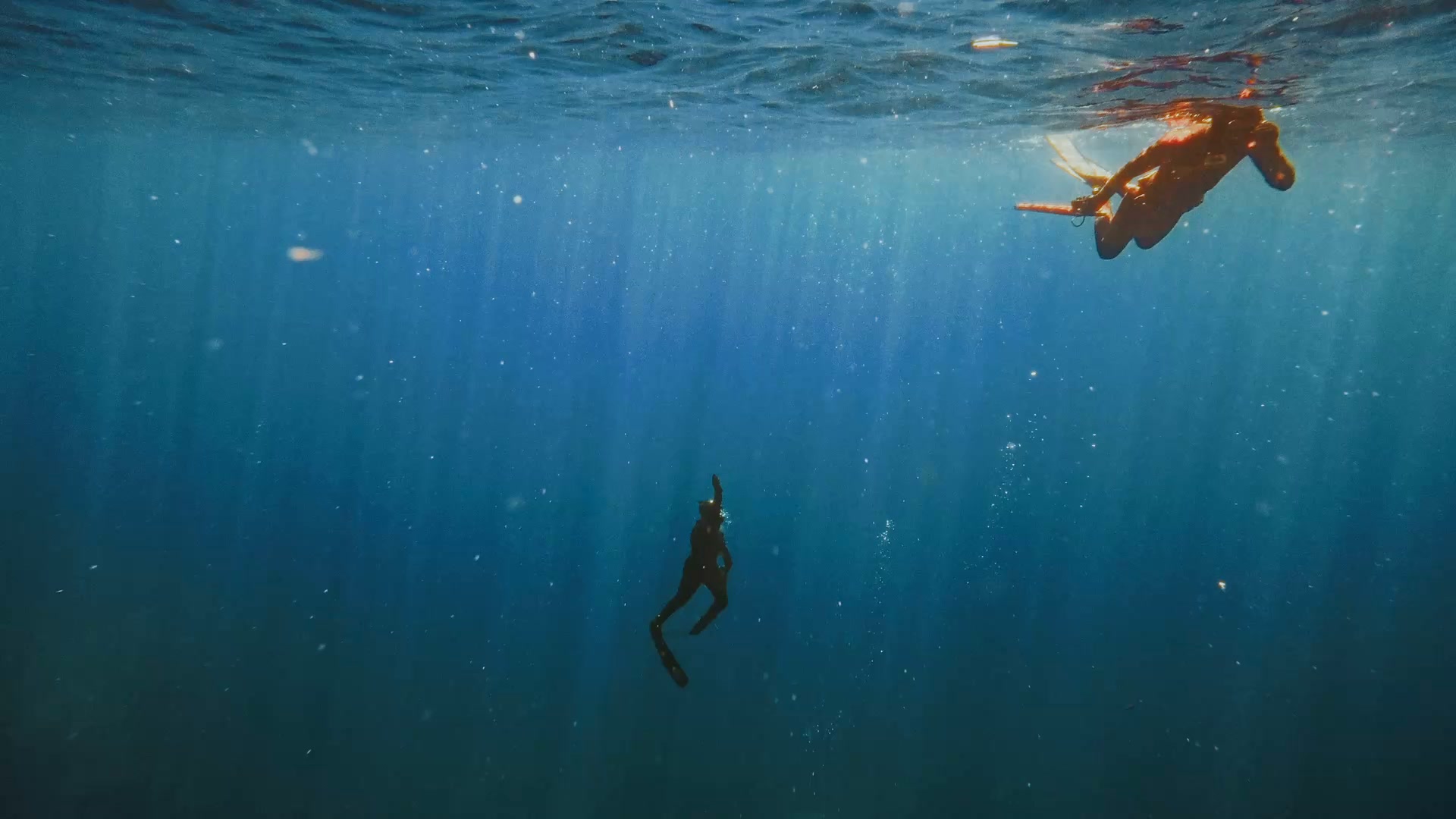 Pinne da Pesca Subacquea — Deep Blue Spearfishing