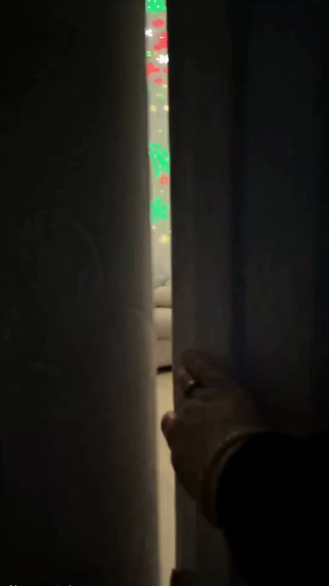 Christmas Projector
