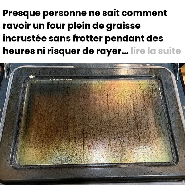 CZ Clean - Chiffons en Fibre Abrasive pour Vaisselle (Lot de 10)