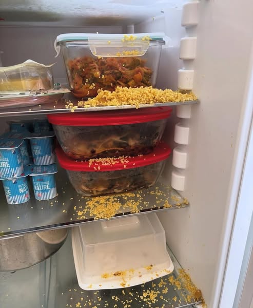 ...Puis j’ai retrouvé mes clés dans le frigo