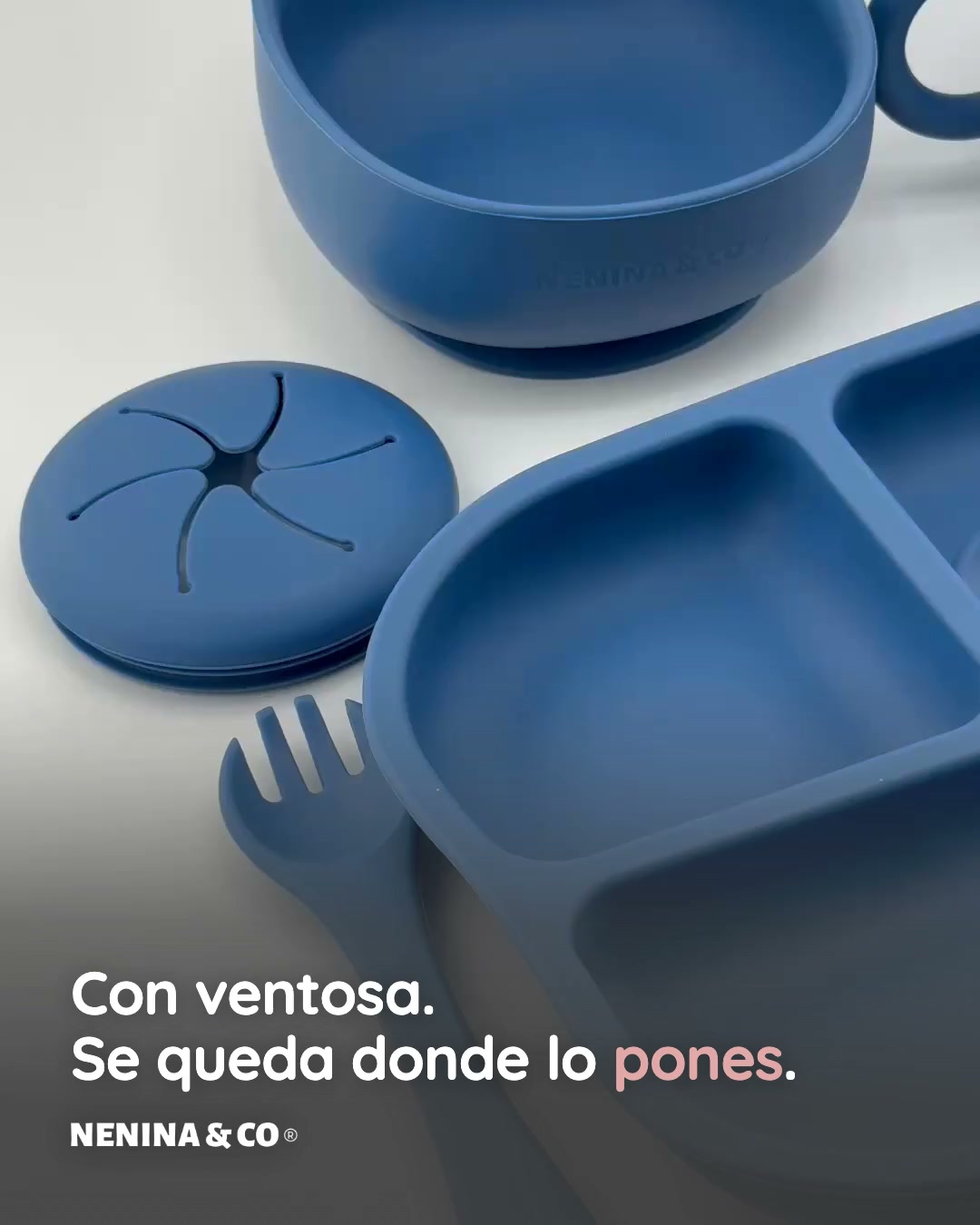 Vajilla con ventosa