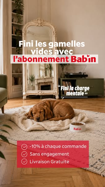 94% des chiens nous adorent