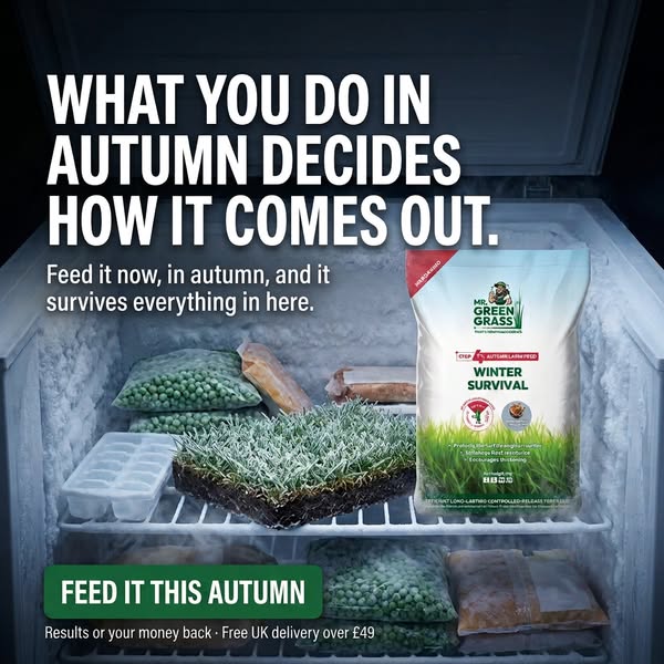 Your Lawn Deserves The BEST!