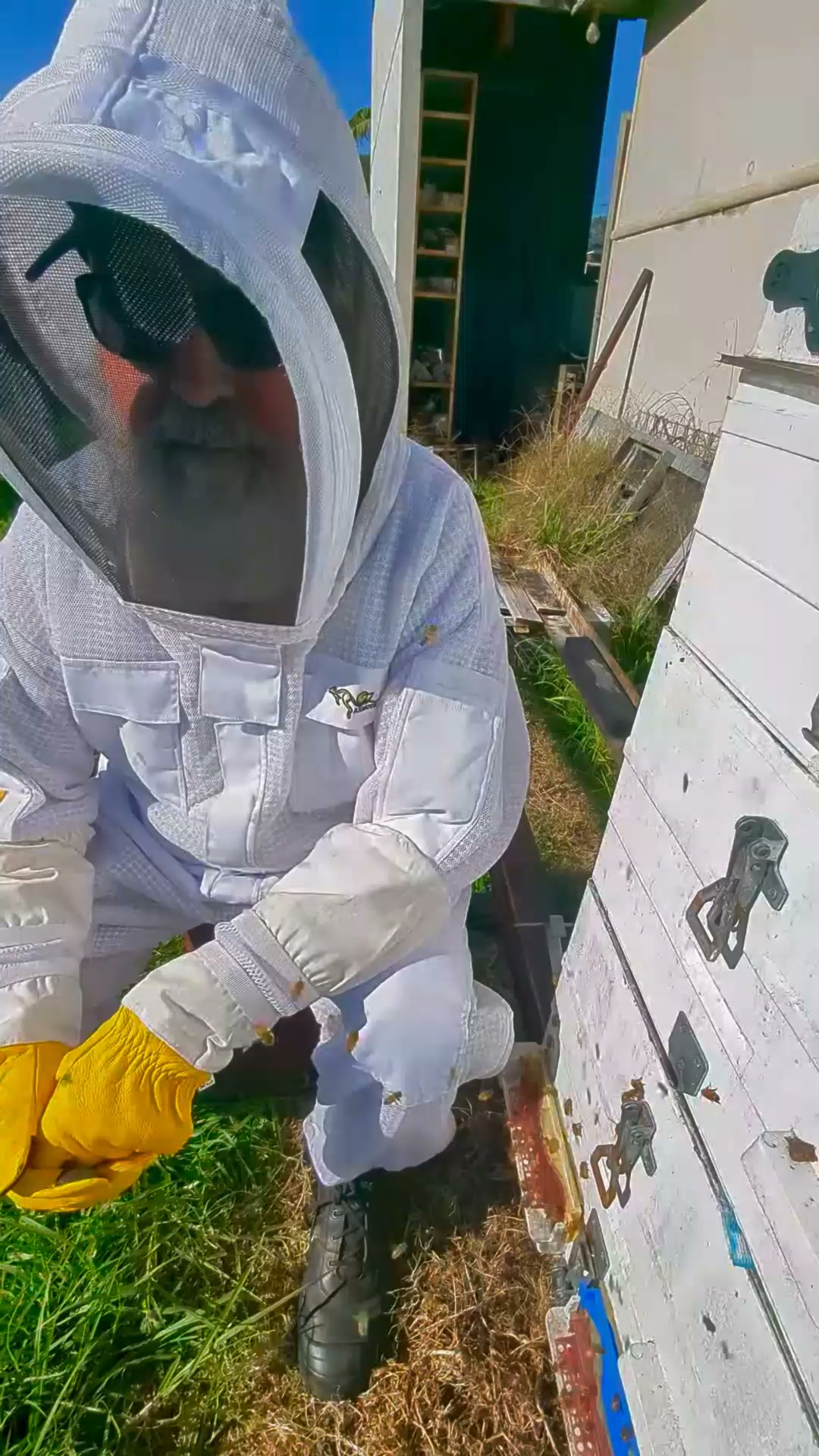 Trusted Protection for Every Hive Inspection