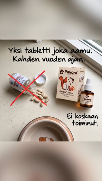 𝐑𝐚𝐮𝐡𝐚𝐥𝐥𝐢𝐬𝐞𝐦𝐩𝐢 𝐤𝐨𝐢𝐫𝐚