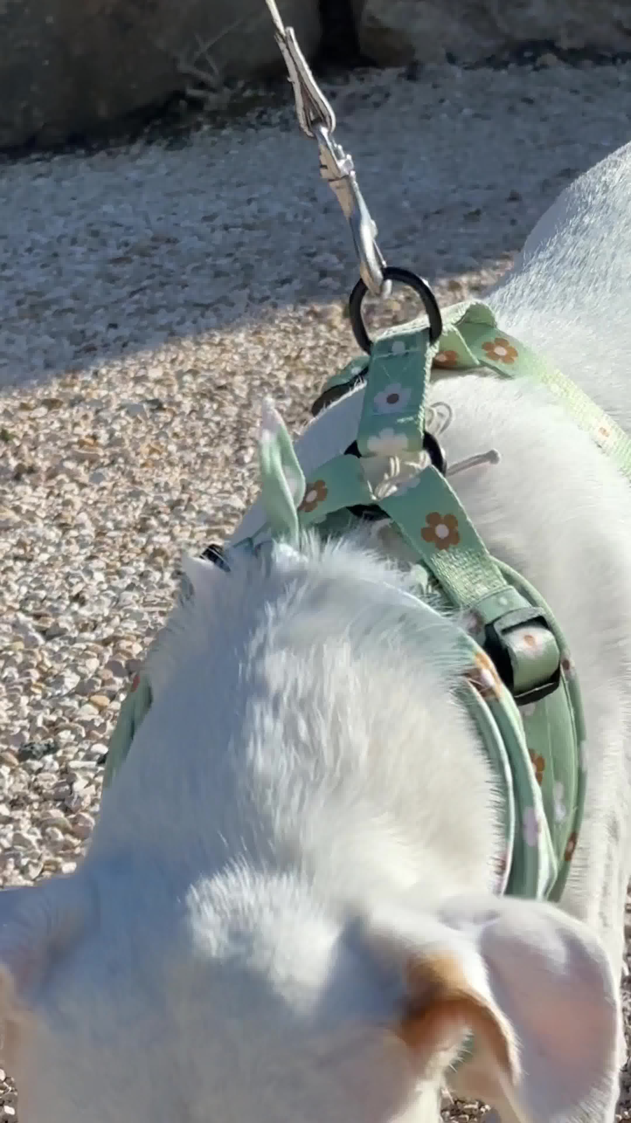 Så matchar vi varje promenad