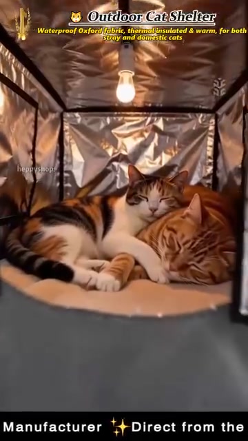 Elevated Insulated Outdoor Cat House – Weather-Resistant Shelter with Thermal Lining & Raised Stand