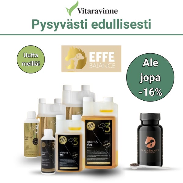 Effe Balance lemmikin hyvinvointiin