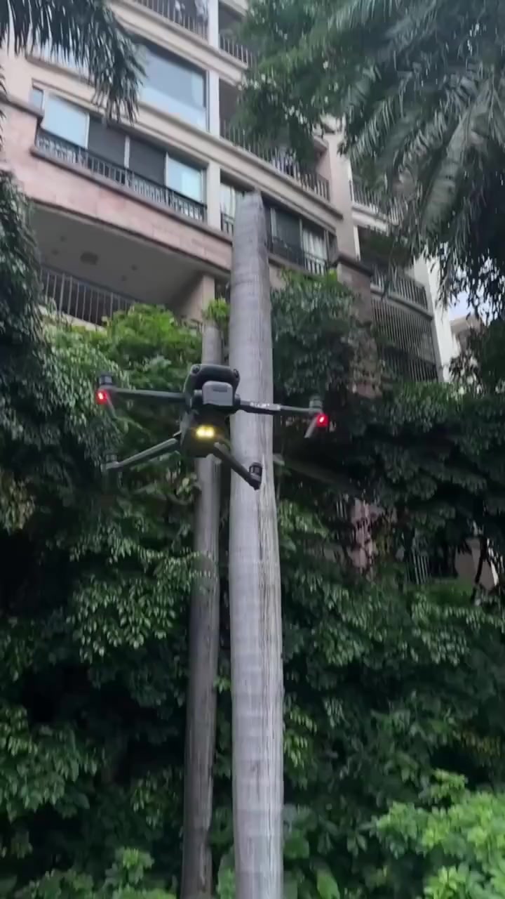 Anúncio de Hauythy