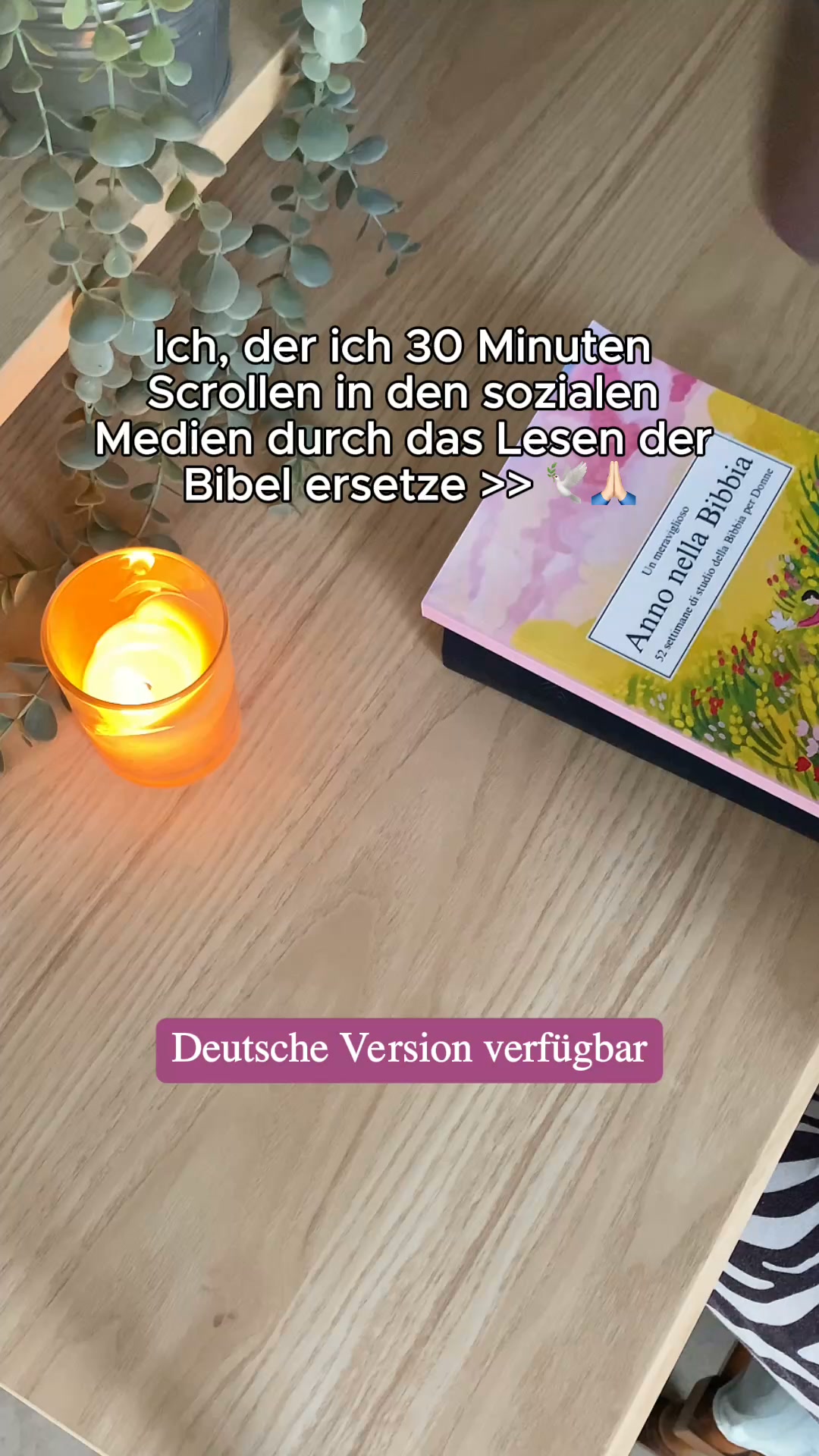 60 % Rabatt + GESCHENK