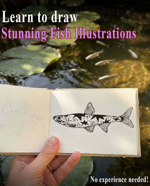 NEW: Fish Drawing Workshop