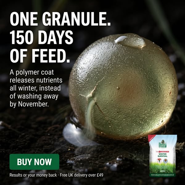 Your Lawn Deserves The BEST!