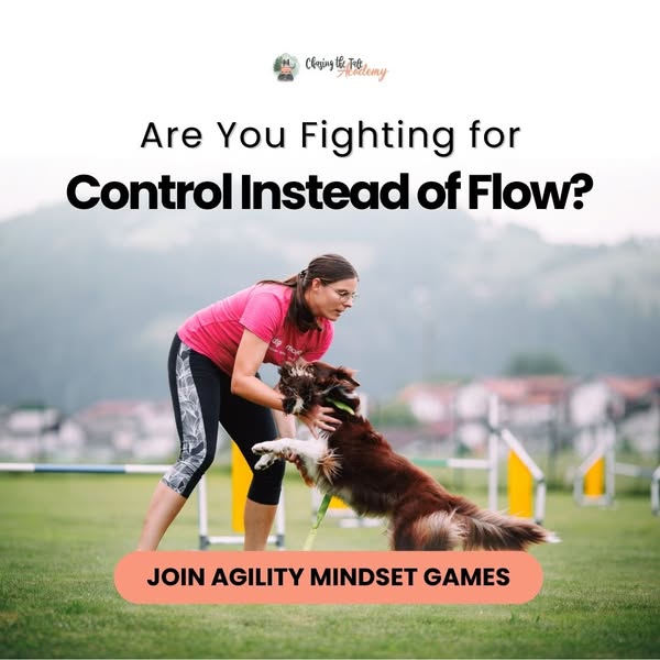 New: Agility Mindset Games - $27