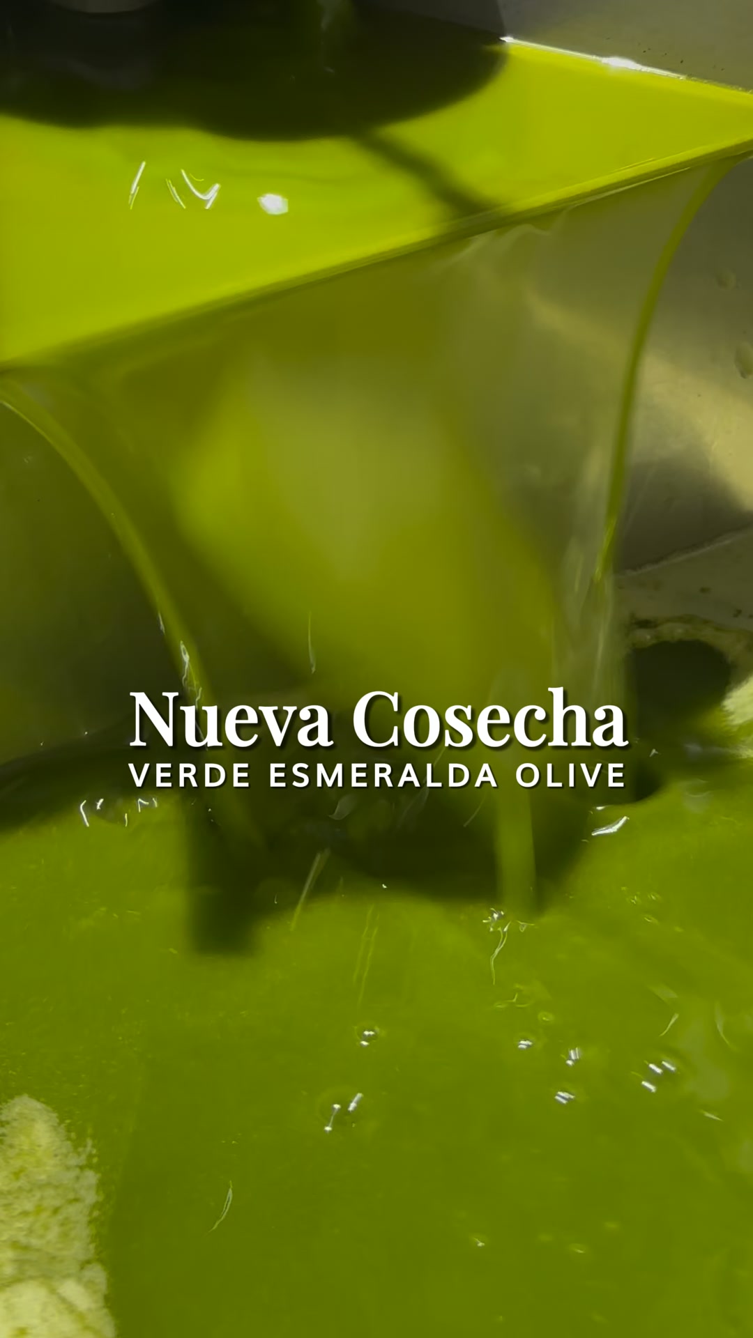 Nueva Cosecha ya aquí
